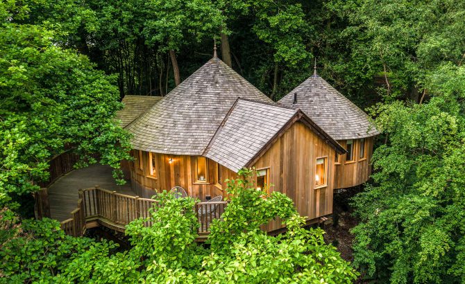 The Buzzardry Treehouse